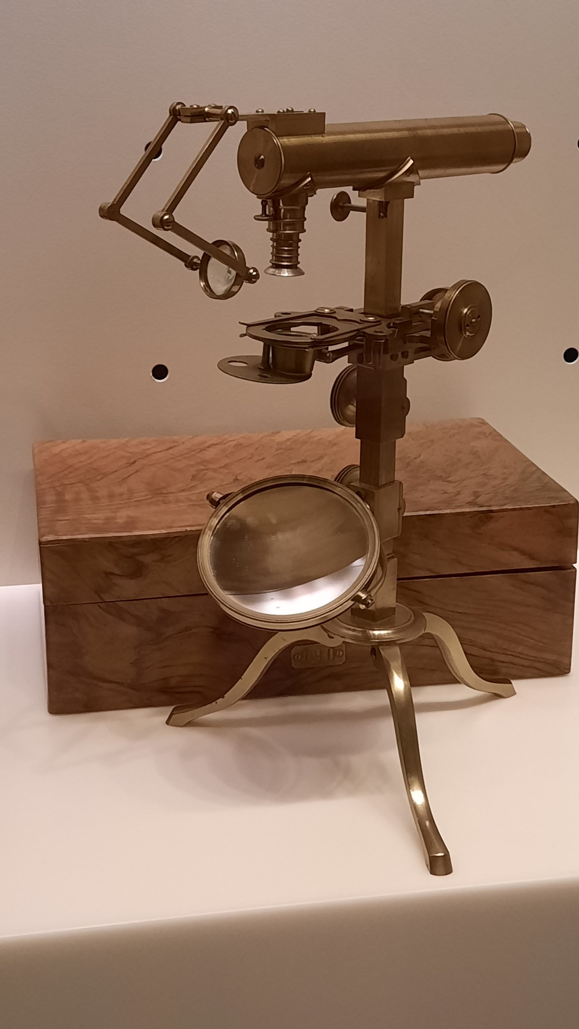 Giovan%20Battista%20Amici%27s%20microscopes%2C%20Museo%20Galileo%2C%20Florence%20-%2005.jpg